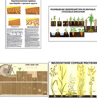 Плакаты ПРОФТЕХ "Агрономия" (5 пл, винил, 70х100) - fgospostavki.ru - Белово