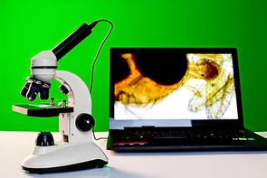 Микроскоп школьный с цифровой камерой - fgospostavki.ru - Белово