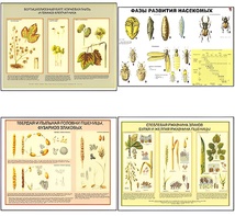 Плакаты ПРОФТЕХ "Вредители и болезни с/х культур и меры борьбы с ними" (11 пл, винил, 70х100) - fgospostavki.ru - Белово