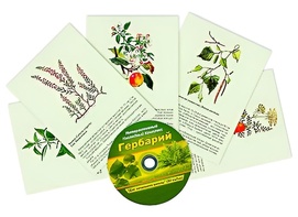 Интерактивный наглядный комплекс "Гербарий "Для начальной школы" - fgospostavki.ru - Белово