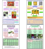 Плакаты ПРОФТЕХ "Классификация овощей" (11 пл, винил, 70х100) - fgospostavki.ru - Белово