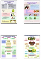 Плакаты ПРОФТЕХ "Классификация овощей и переработка" (8 пл, винил, 70х100) - fgospostavki.ru - Белово