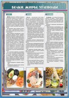 Стенд "Белки. Жиры. Углеводы" - fgospostavki.ru - Белово