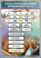 Стенд "Схема приготовления дрожжевого теста" - fgospostavki.ru - Белово