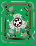 Модель-аппликация "Строение клетки" (набор из 54 пластмассовых фигур) - fgospostavki.ru - Белово