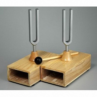 Камертоны на резонансных ящиках с молоточком - fgospostavki.ru - Белово