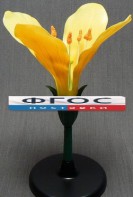 Модель "Цветок капусты" - fgospostavki.ru - Белово