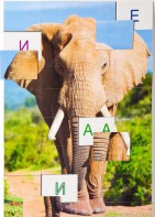 Магнитная орфография (безударные гласные, 1 класс) "Слон" - fgospostavki.ru - Белово