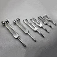 Набор камертонов - fgospostavki.ru - Белово