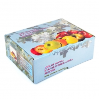 Набор муляжей "Дикая форма и культурные сорта яблок" - fgospostavki.ru - Белово