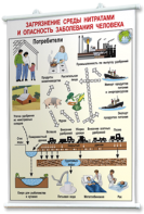 Плакаты по общей экологии для оформления кабинета. - fgospostavki.ru - Белово
