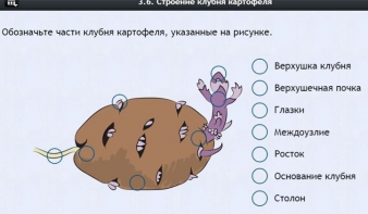 Интерактивные курсы. Биология 6 класс. Расширенный - fgospostavki.ru - Белово