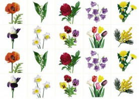 Комплект карточек "Запоминай, играй, считай" - Цветы - fgospostavki.ru - Белово