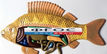 Модель барельефная "Внутреннее строение рыбы" - fgospostavki.ru - Белово