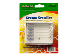 Набор микропрепаратов для микроскопа №2 «Насекомые» - fgospostavki.ru - Белово