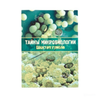 Набор «Тайны микробиологии» (Царство грибов) - fgospostavki.ru - Белово