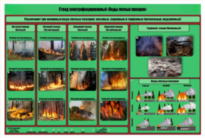 Стенд-планшет электрифицированный «Виды лесных пожаров»  - fgospostavki.ru - Белово