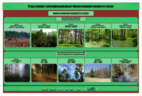Стенд-планшет электрифицированный «Оценка пожарной опасности в лесах»  - fgospostavki.ru - Белово