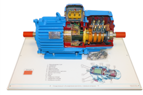 Стенд-планшет «Асинхронный двигатель с фазным ротором» - fgospostavki.ru - Белово