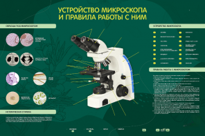 Электрифицированный стенд "Устройство микроскопа и правила работы c ним" - fgospostavki.ru - Белово