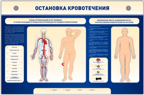 Электрифицированный стенд-тренажер "Остановка кровотечения" - fgospostavki.ru - Белово
