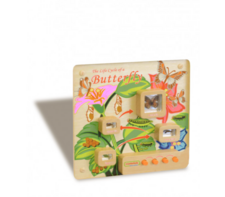 Панель «Жизненный цикл бабочки» - fgospostavki.ru - Белово