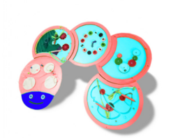 Тактильно-развивающая панель «Гусеница» - fgospostavki.ru - Белово