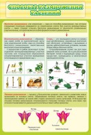 Стенд "Способы размножения растений" - fgospostavki.ru - Белово