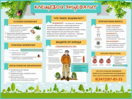 Стенд "Клещевой энцефалит" - fgospostavki.ru - Белово