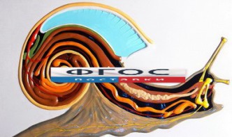 Модель барельефная "Внутреннее строение брюхоногого моллюска" - fgospostavki.ru - Белово