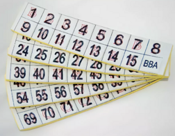 Фишки для игры «Бинго» со шрифтом Брайля - fgospostavki.ru - Белово