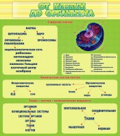 Стенд "От клетки до организма" - fgospostavki.ru - Белово