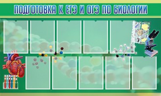 Стенд "Подготовка к ЕГЭ и ОГЭ по биологии" Вариант 2 - fgospostavki.ru - Белово