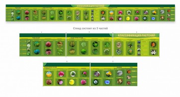Стенд "Классификация растений" - fgospostavki.ru - Белово