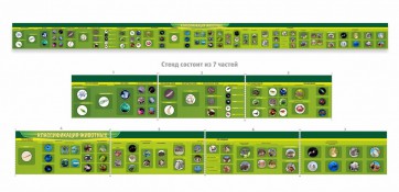 Стенд "Классификация групп животных" - fgospostavki.ru - Белово