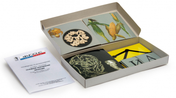 Модель-аппликация "Основные направления эволюции" (набор из 33 карт) - fgospostavki.ru - Белово