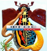 Модель барельефная "Внутреннее строение жука" - fgospostavki.ru - Белово