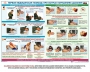 Комплект плакатов "Оказание первой доврачебной медицинской помощи" - fgospostavki.ru - Белово