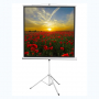 Экран на штативе DSKD-1105  - fgospostavki.ru - Белово