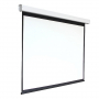 Экран настенный с электроприводом DSEF-16909 - fgospostavki.ru - Белово
